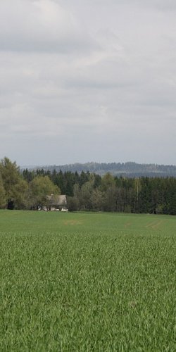 2013 Svojek Mirek Topinka